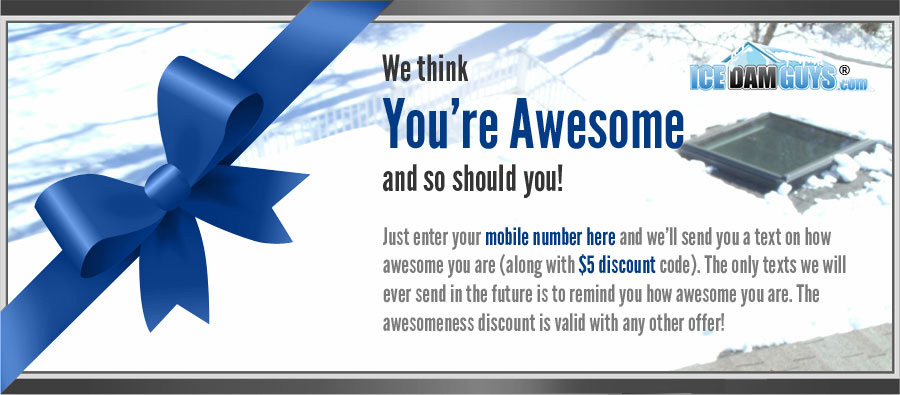 the awesome coupon ice dam guys top rated ice dam removal
