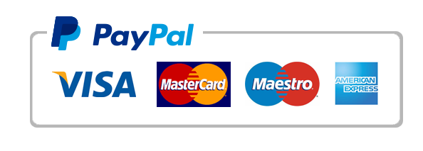 Image result for secure payments paypal logo